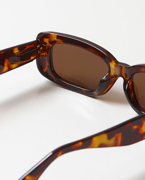 OjeOje H Sunglasses - tortoise
